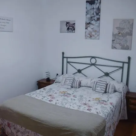 Loli Appartement Berga