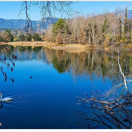 Loli アパート ベルガ